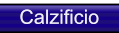 Calzificio